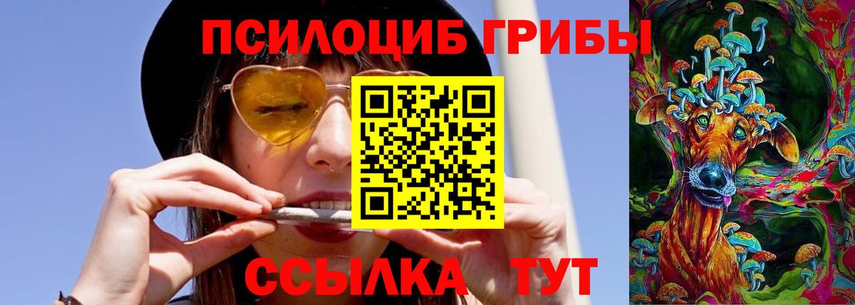 Галлюциногенные грибы мухоморы Лосино-Петровский